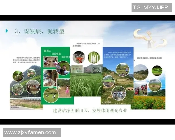 以环境质量为核心推动绿色发展探索与实践路径分析