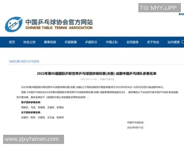 南京乒乓球队的崛起与发展探讨聚焦乒乓球力量的背后故事